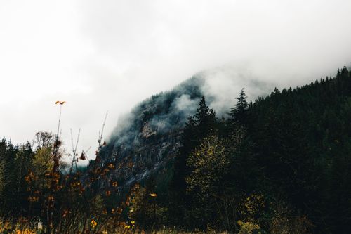 Free A foggy, forested mountain landscape in Gibsons, BC, captures the serene beauty of nature. Stock Photo