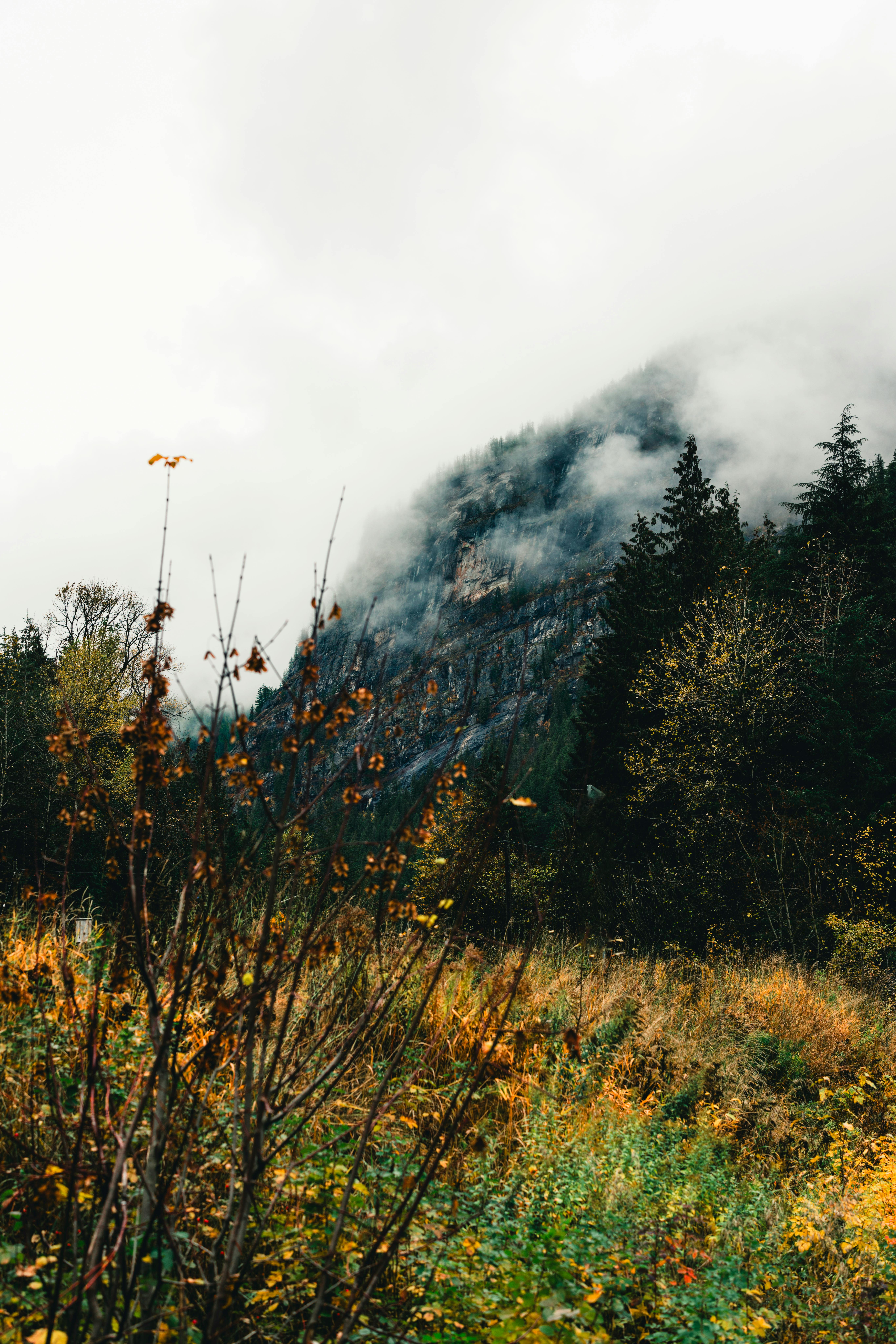 Venturing Inland: Mountains, Lakes, and National Parks