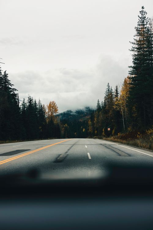 Free Peaceful mountain road in autumn, surrounded by misty forests and fall colors. Stock Photo