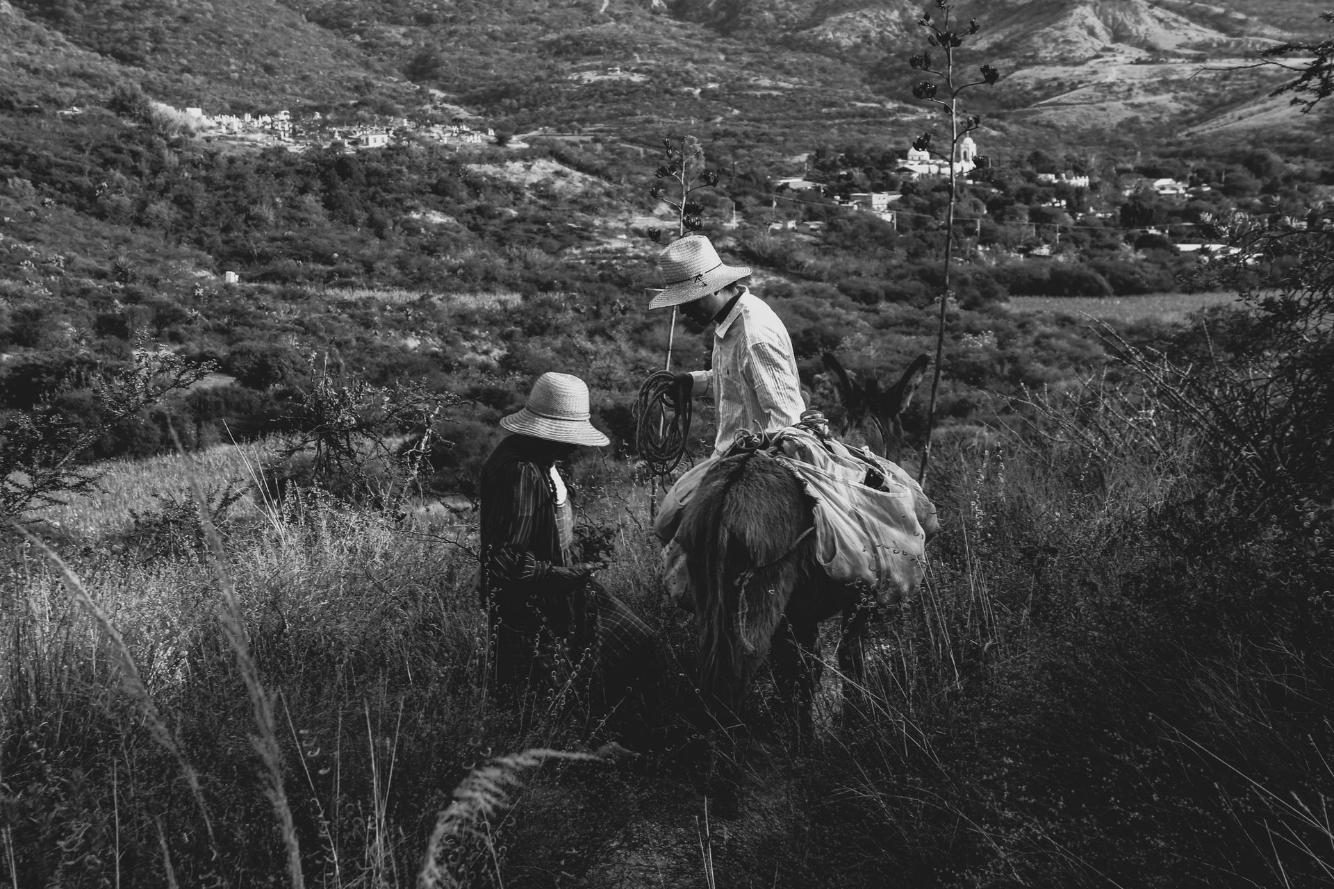 Black and white image capturing rural life in San Miguel Ixitlán, Mexico with local farmers.