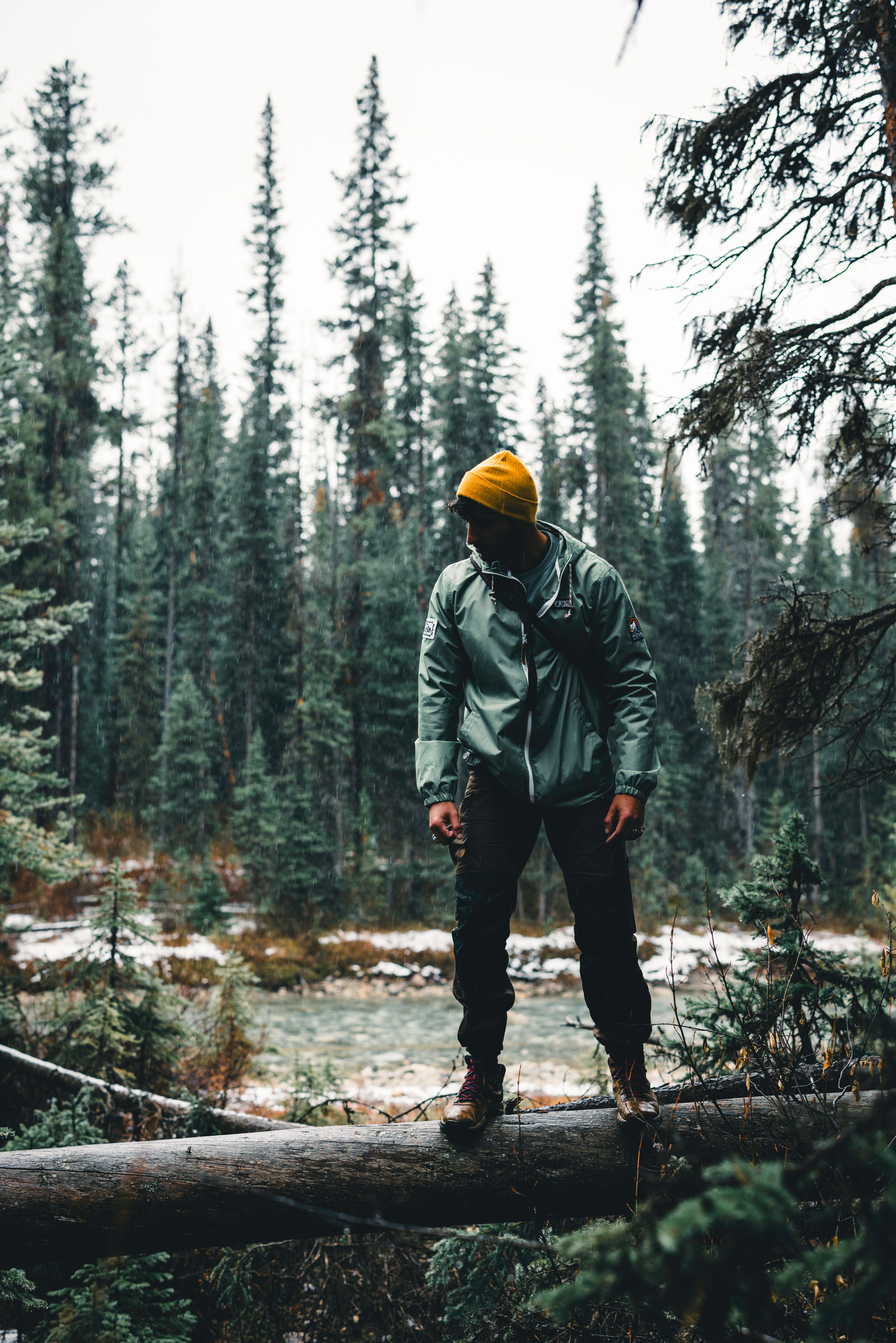Man Standing on Fallen Tree in Forest · Free Stock Photo