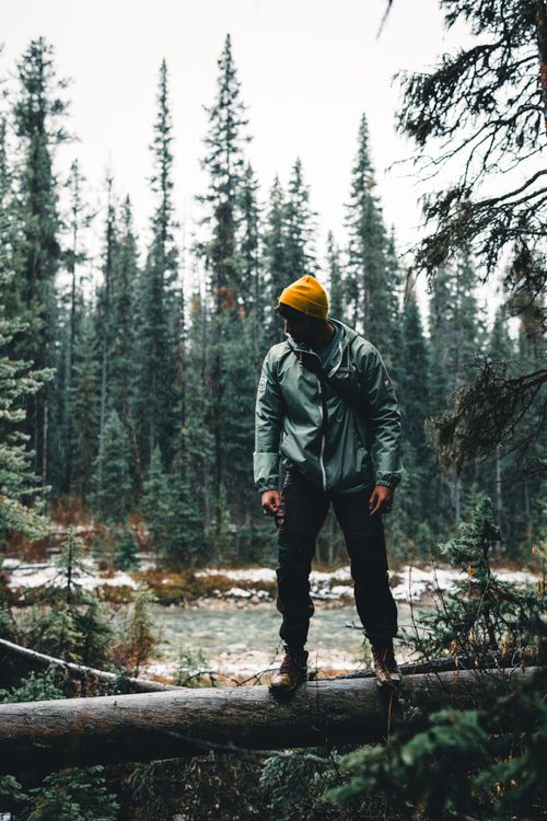 Man Making Ridge Forest Man Standing on Fallen Tree in Forest · Free Stock Photo