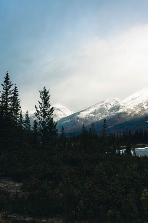 Free Serene view of snow-capped mountains and evergreens at Kootenay Crossing, BC. Stock Photo