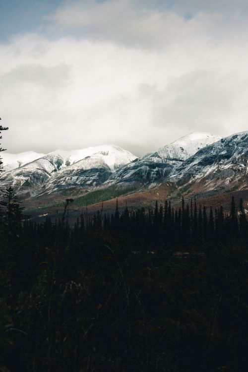Free Scenic view of snow-covered mountains and forest in Kootenay Crossing, BC. Stock Photo