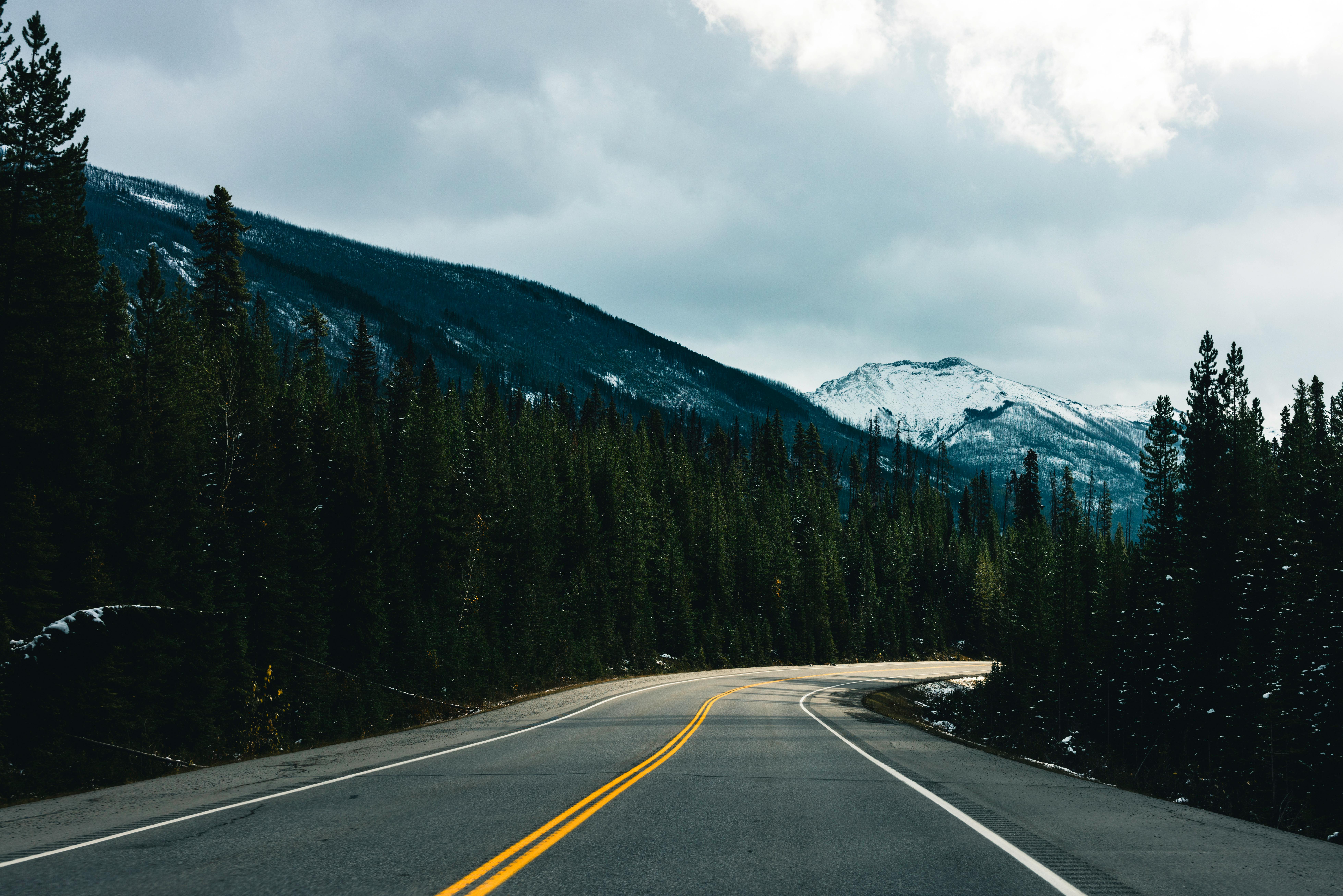 Shell Canada Offers Free Meal to Commercial Delivery Drivers — Photo by Ali Kazal on Pexels