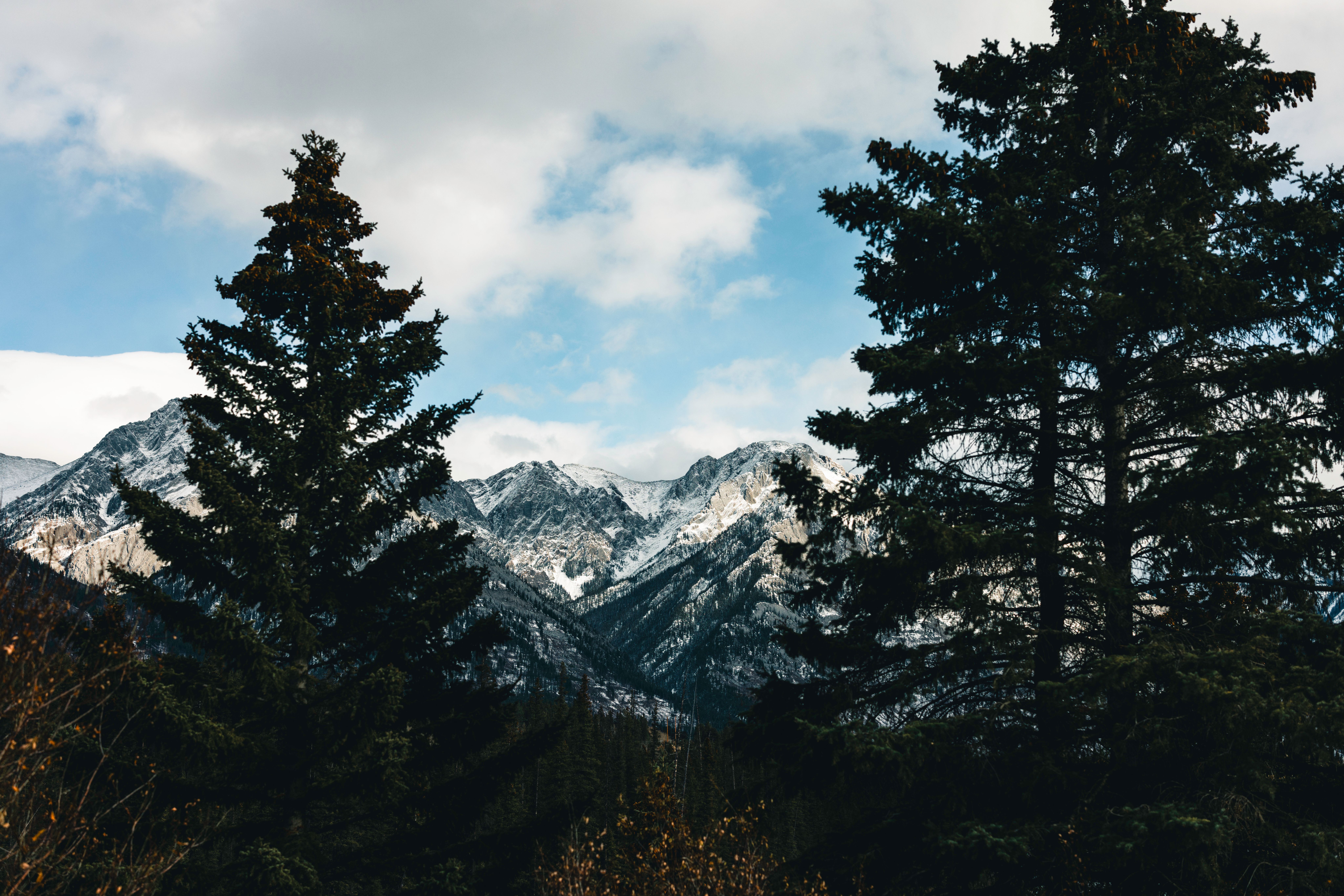 Big Horn Outdoor Adventure Show Giveaway 2026 | Contest Archive — Photo by Ali Kazal on Pexels