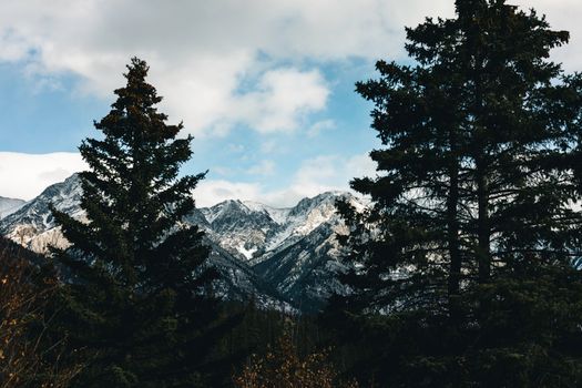 Breathtaking view of snow-capped mountains and evergreen trees in Jasper, Alberta.