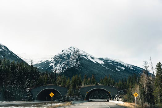 Scenic view of a snowy mountain and road tunnel in Jasper National Park, Alberta.