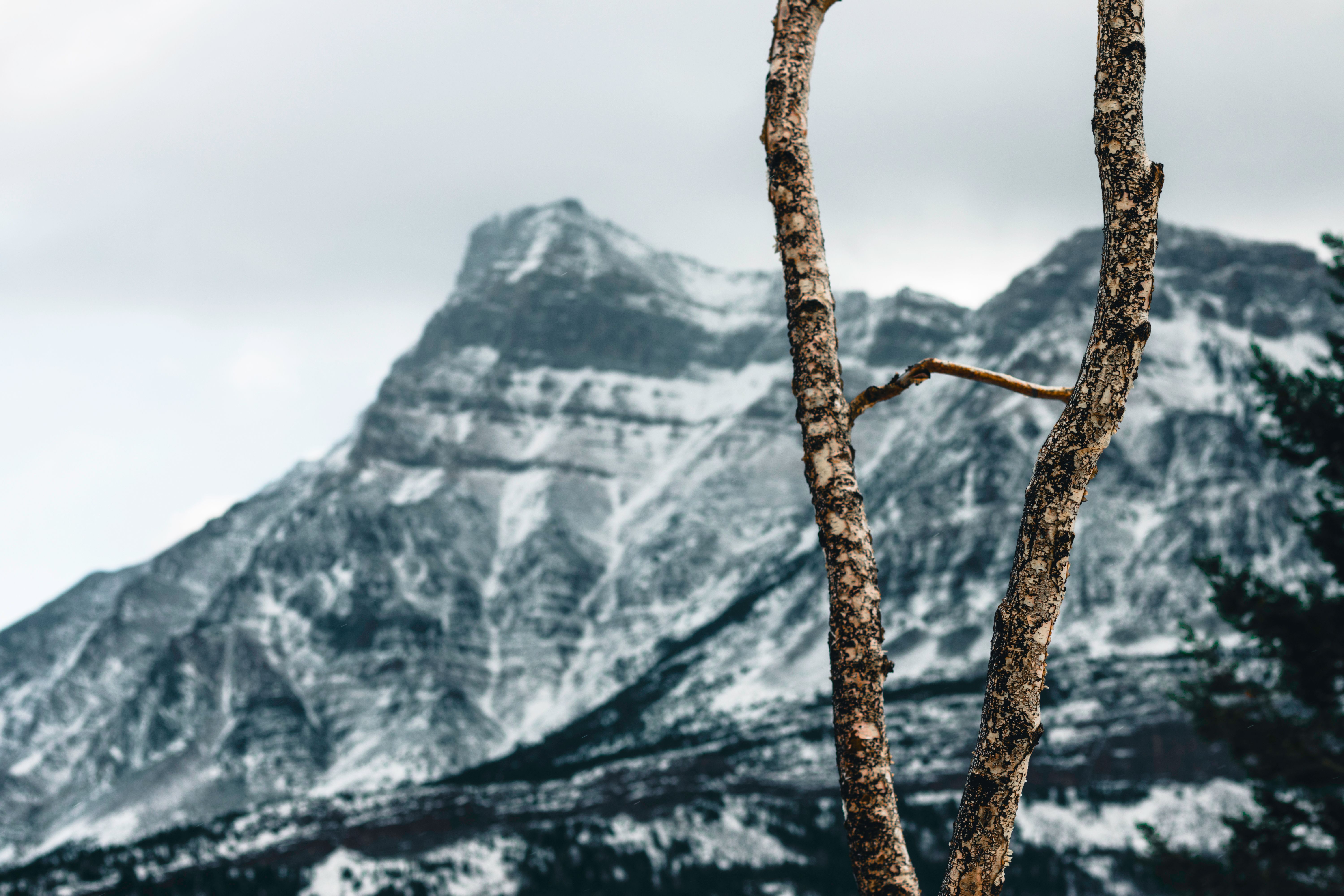 Breathtaking snow-covered peaks and forest landscape in British Columbia, perfect for nature lovers.