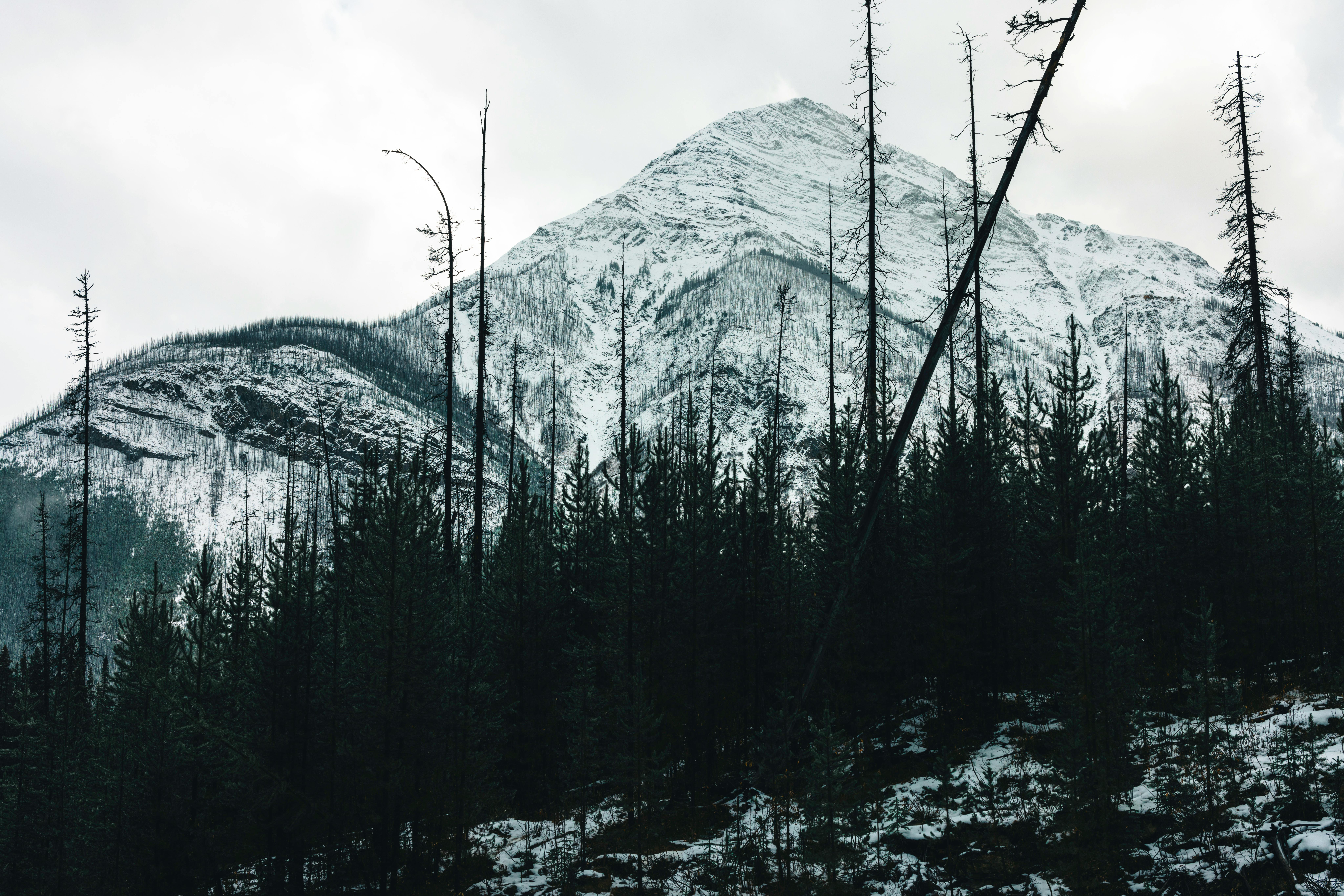 Simien Mountains National Park