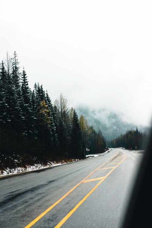 Free Misty mountain road surrounded by trees in Glacier National Park, BC, Canada. Stock Photo