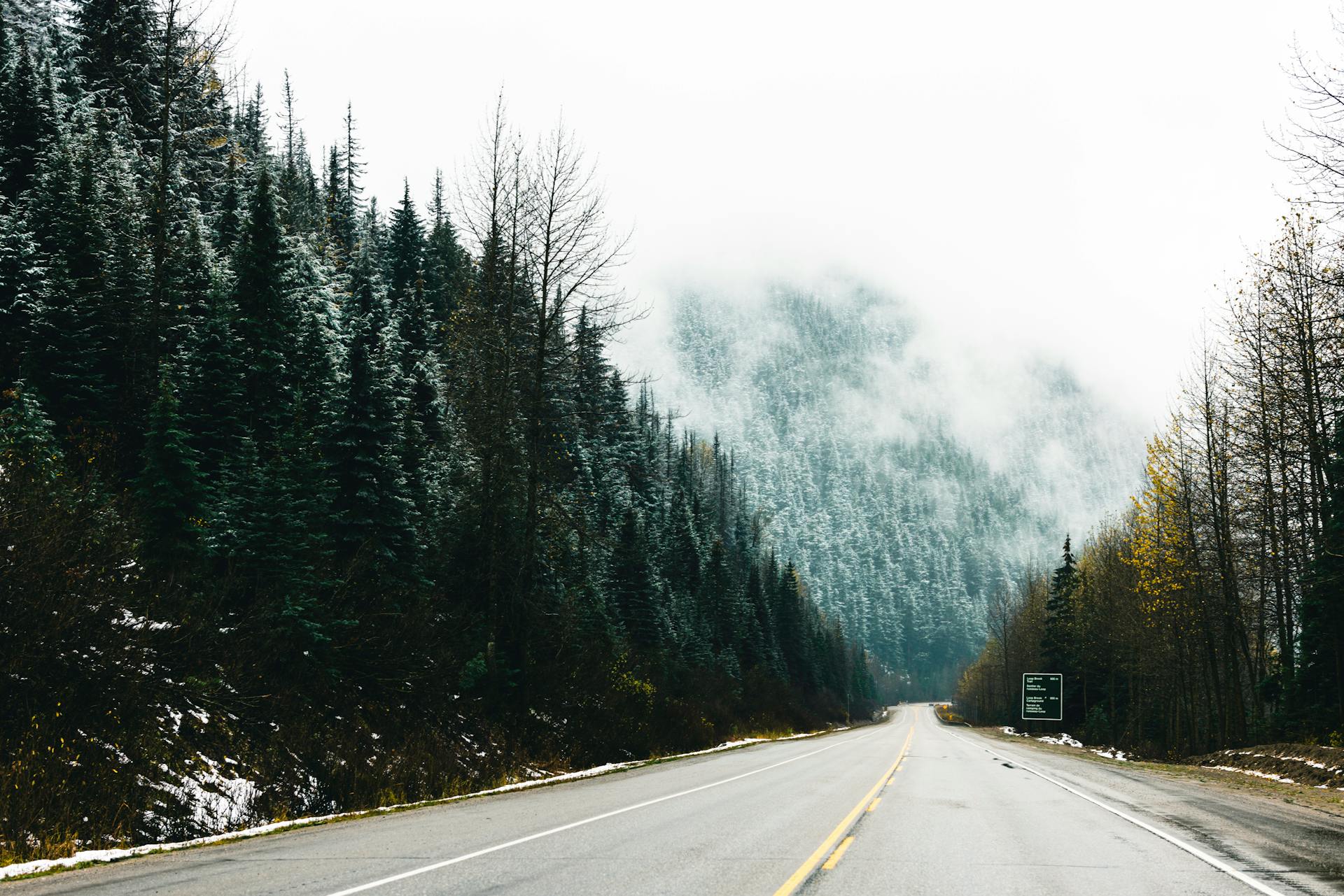 A scenic drive through misty forests and mountains in Glacier, BC, Canada during fall.