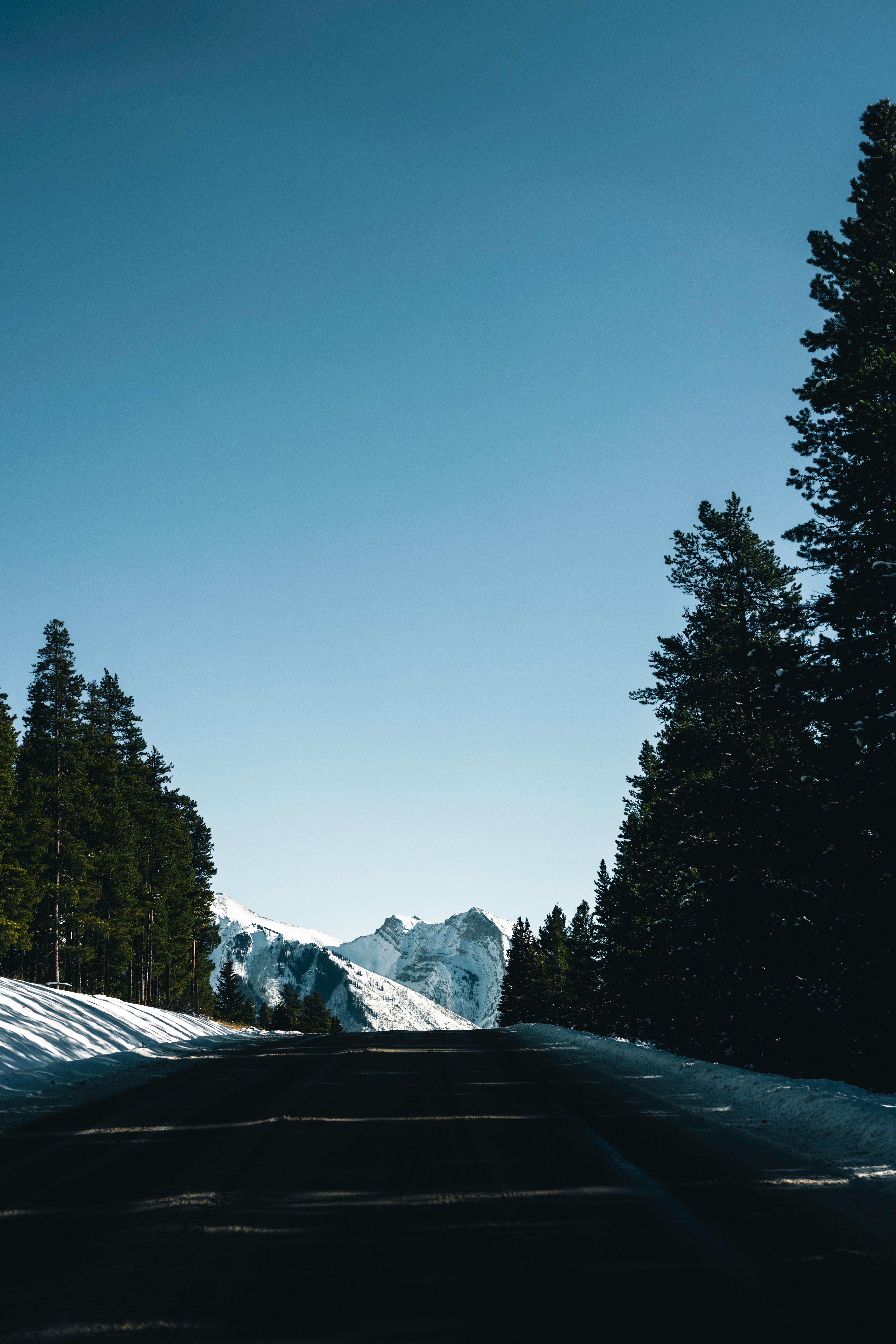 A scenic view of Going-to-the-Sun Road and alpine peaks in Glacier National Park with no people