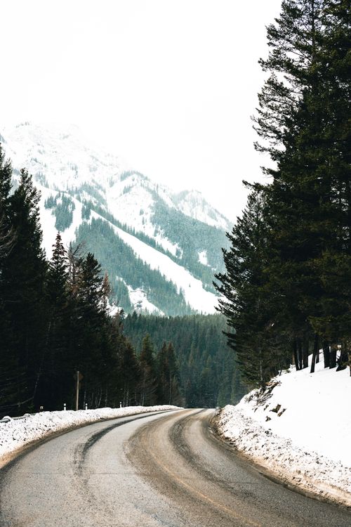 Free Snow-covered road winding through pine forest in Glacier National Park, Canada with mountain views. Stock Photo