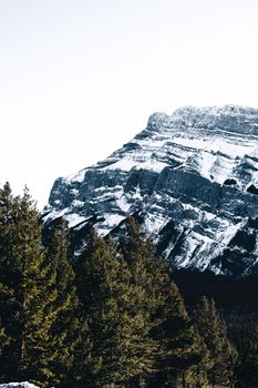 Stunning view of a snowcapped mountain and evergreen trees in Glacier, BC.