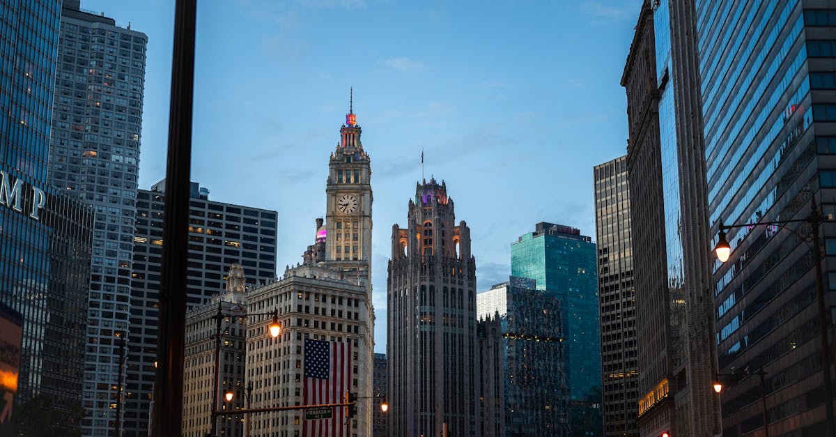 Magnificent Mile Chicago Urban Canyon Skyscrapers Luxury Retail Seasonal Gardens
