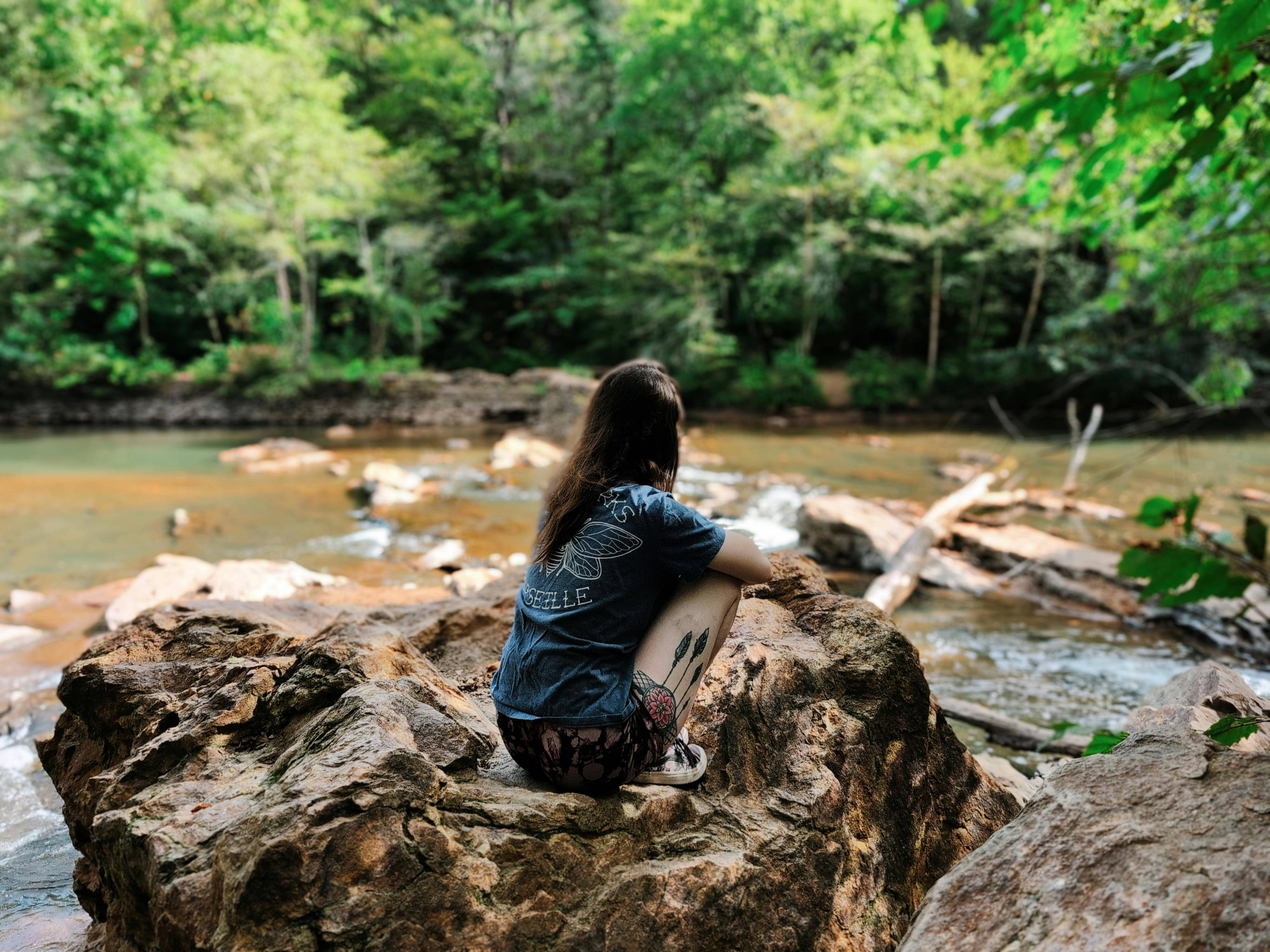 Free A woman sitting on rocks by a river in nature, surrounded by lush green trees. Stock Photo