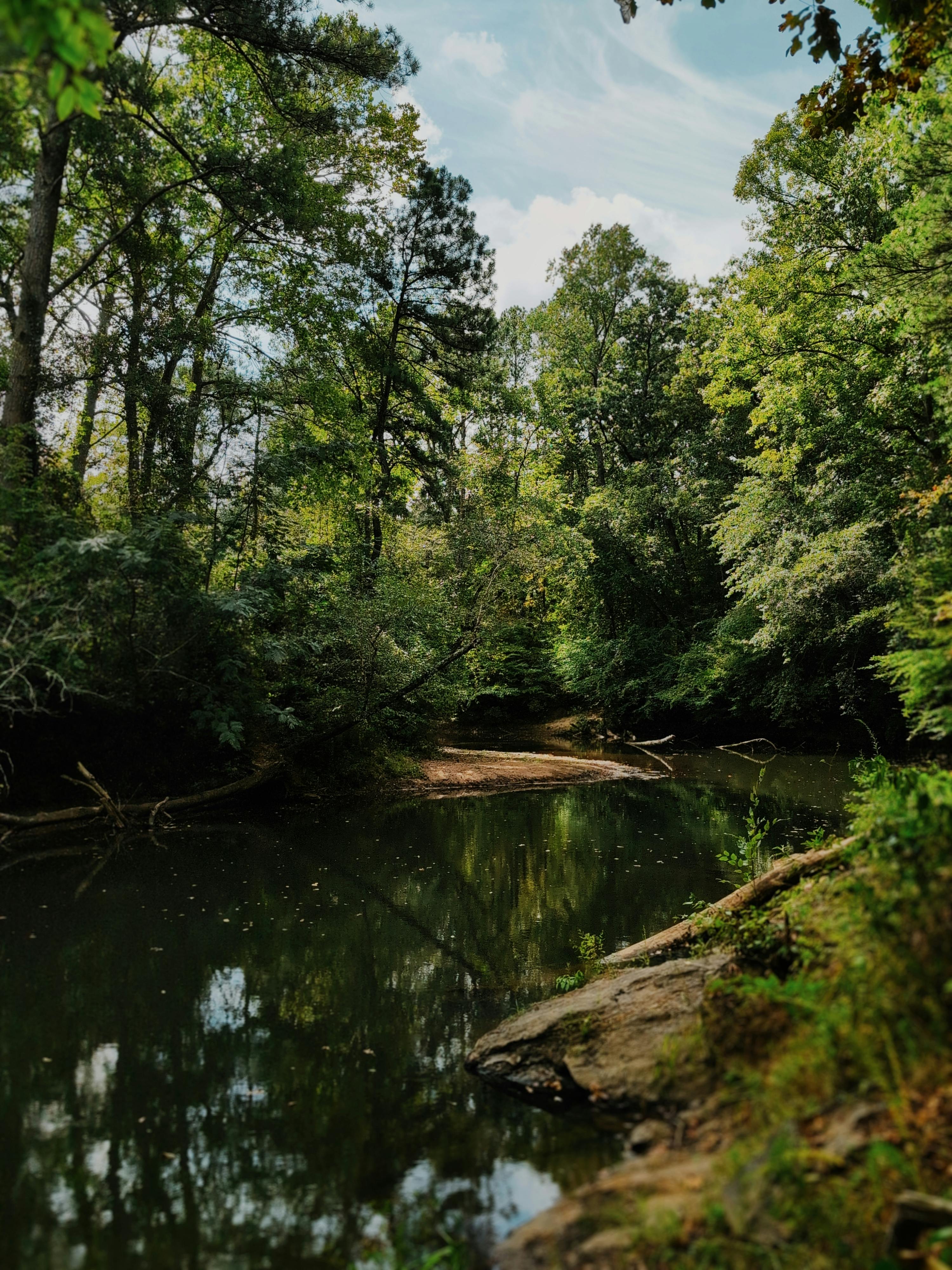 Free Tranquil river scene surrounded by dense, green forest creating a peaceful atmosphere. Stock Photo