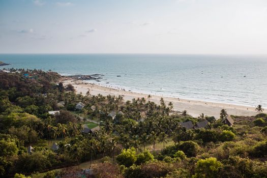 Spice plantation and feni tasting — Goa