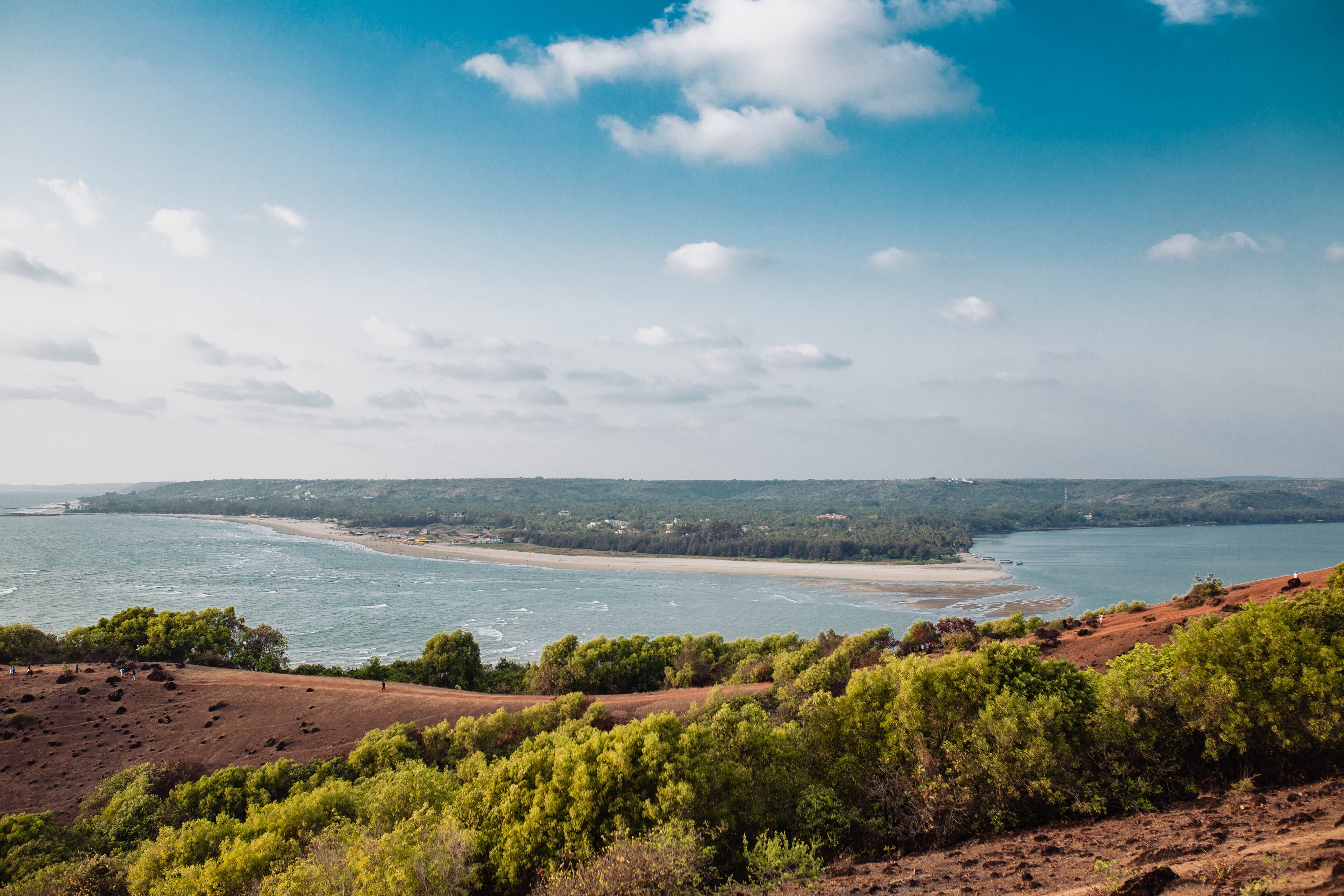 A picturesque view of Mandrem Beach with lush greenery and blue sky in Goa, India.