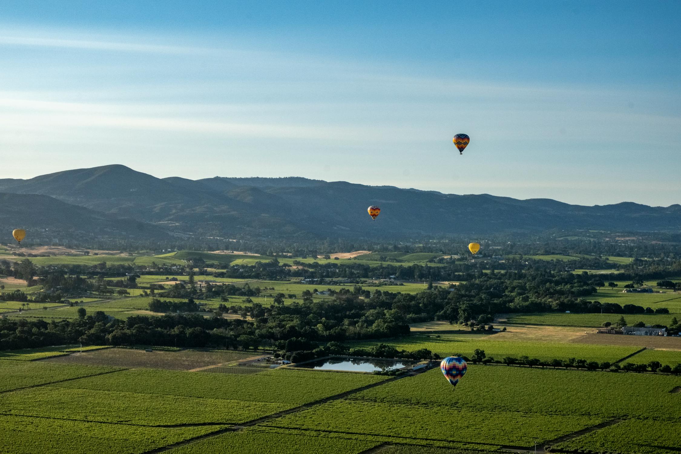free photo of napa hot air balloon