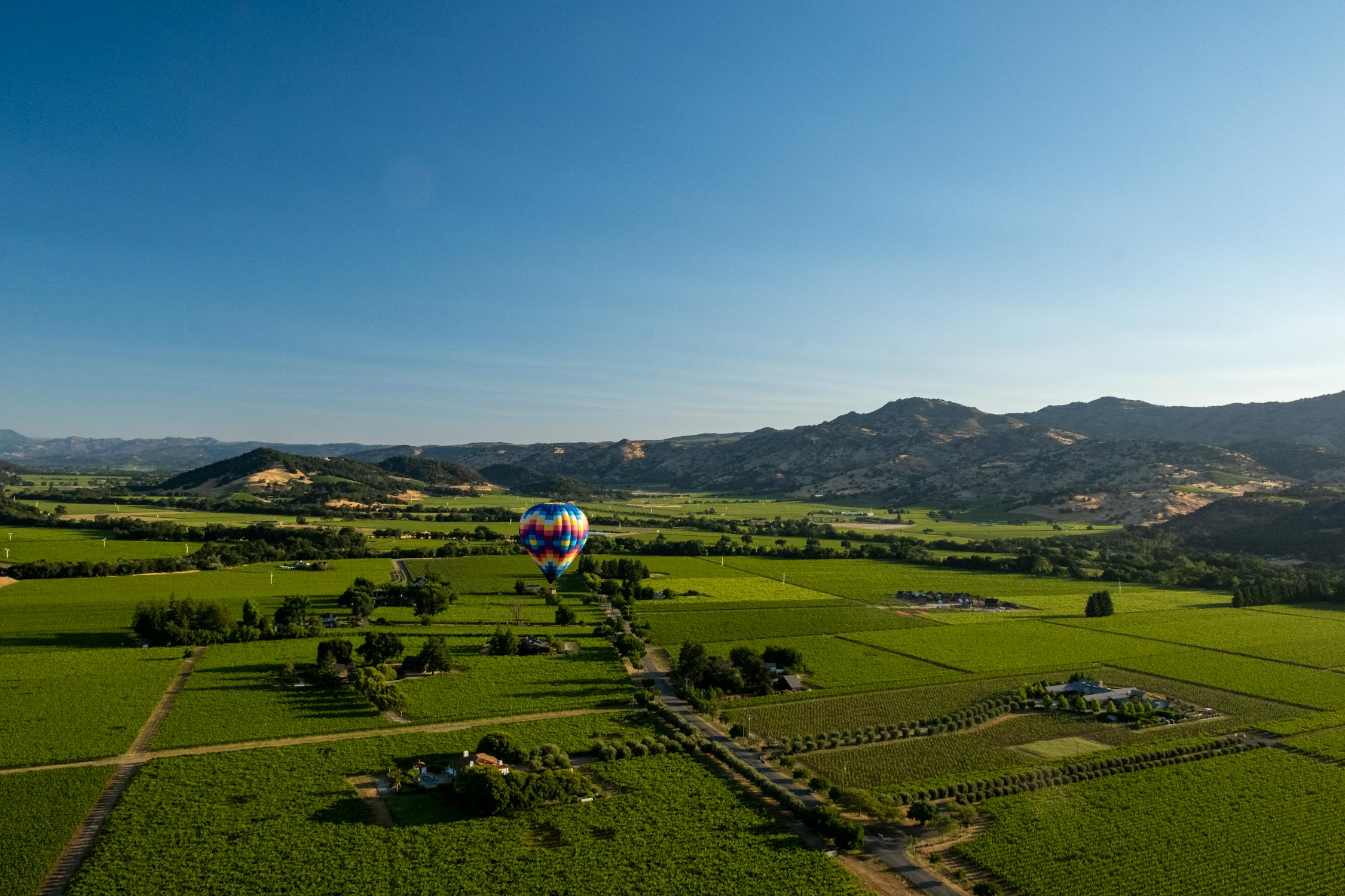free photo of napa hot air balloon