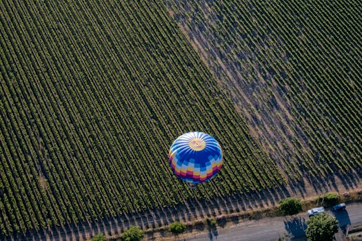 Napa Valley, United States photo 3