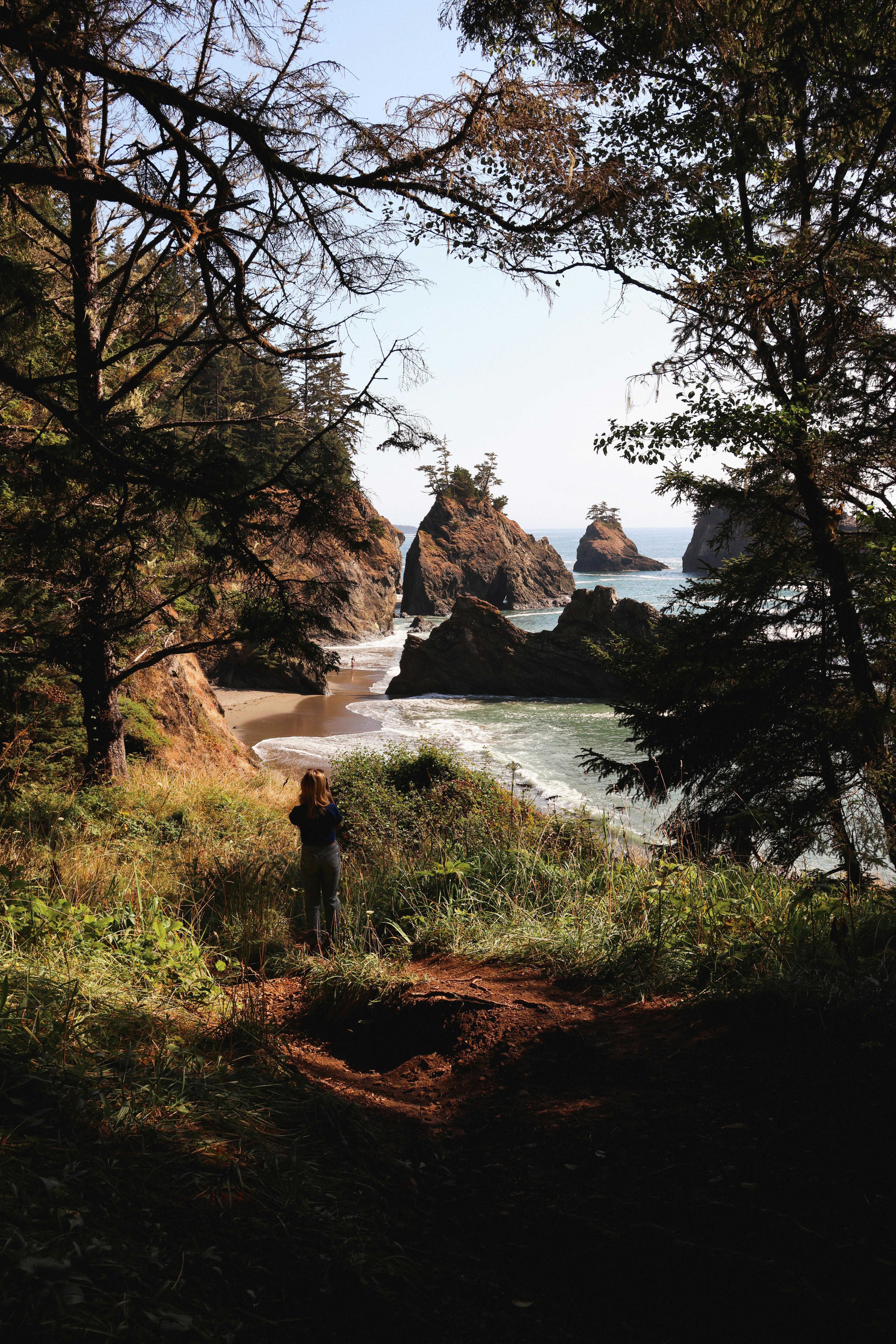 Woman standing on a forested cliff overlooking the rocky coast near Brookings, Oregon.