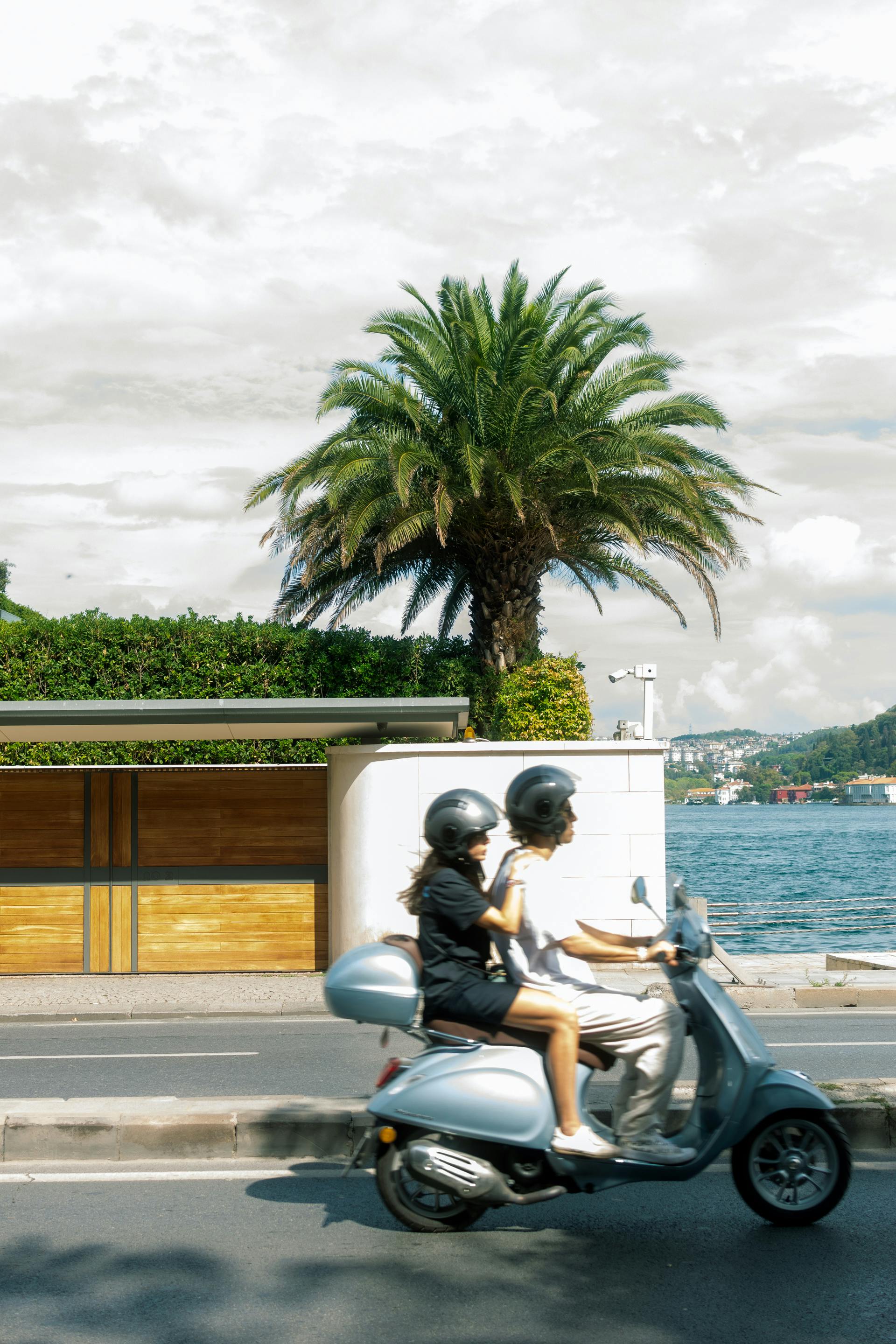 A couple rides a motor scooter on a sunny coastal road, palm tree in the background.