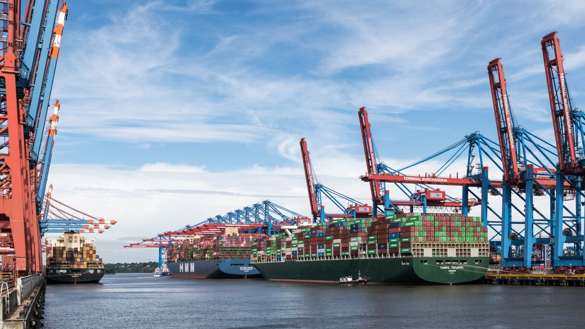Large container ships docked at Hamburg's bustling industrial port under a clear sky.