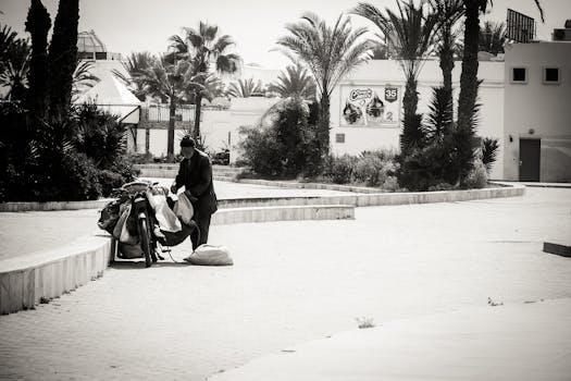 Lone traveler with bicycle in a serene urban setting under palm trees.