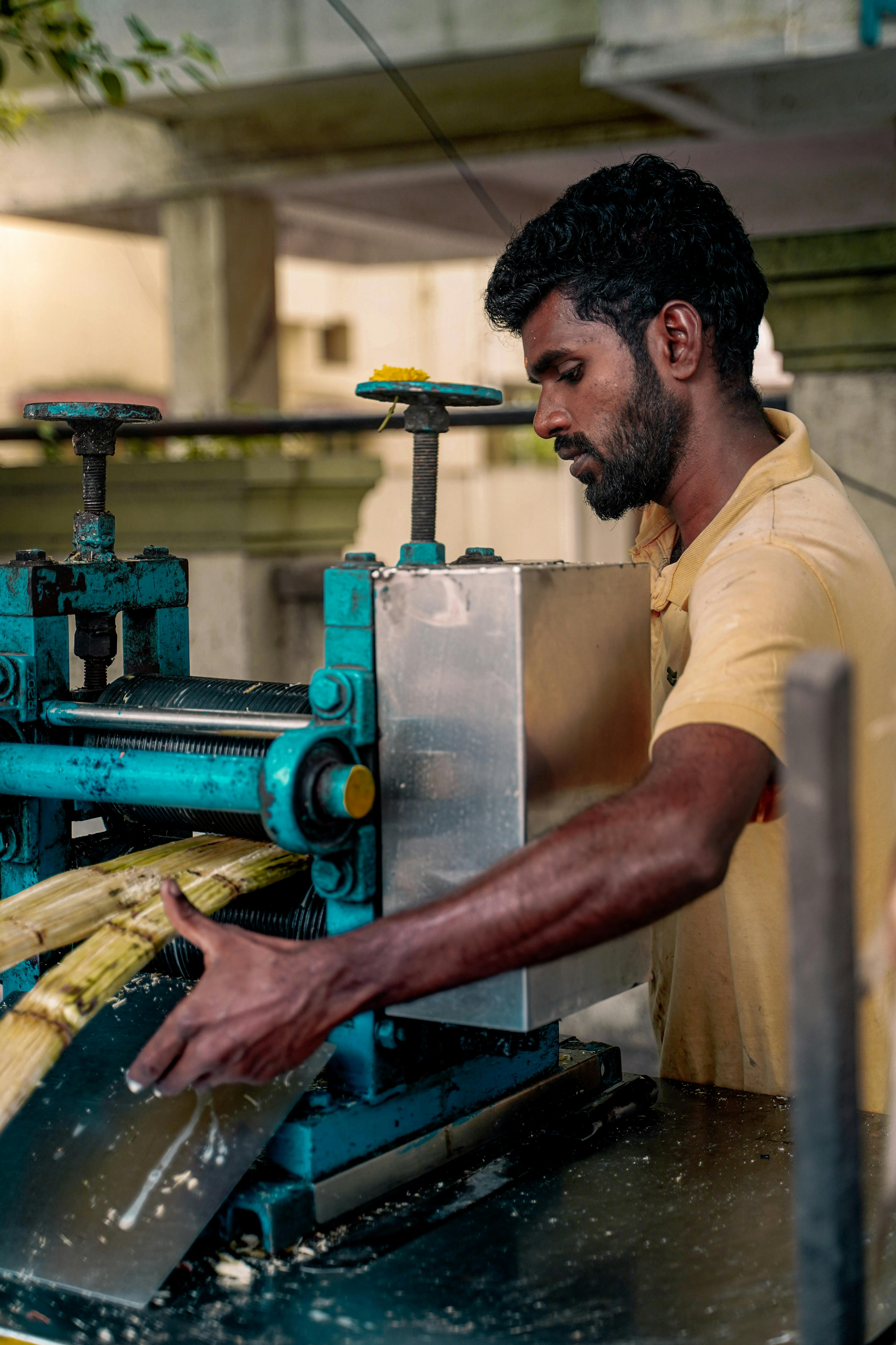 Capturing Chennai: A Guide to Stunning Local Photography