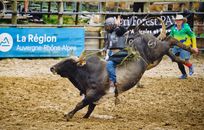 Exciting rodeo scene capturing a bull rider in motion, showcasing skill and intensity.