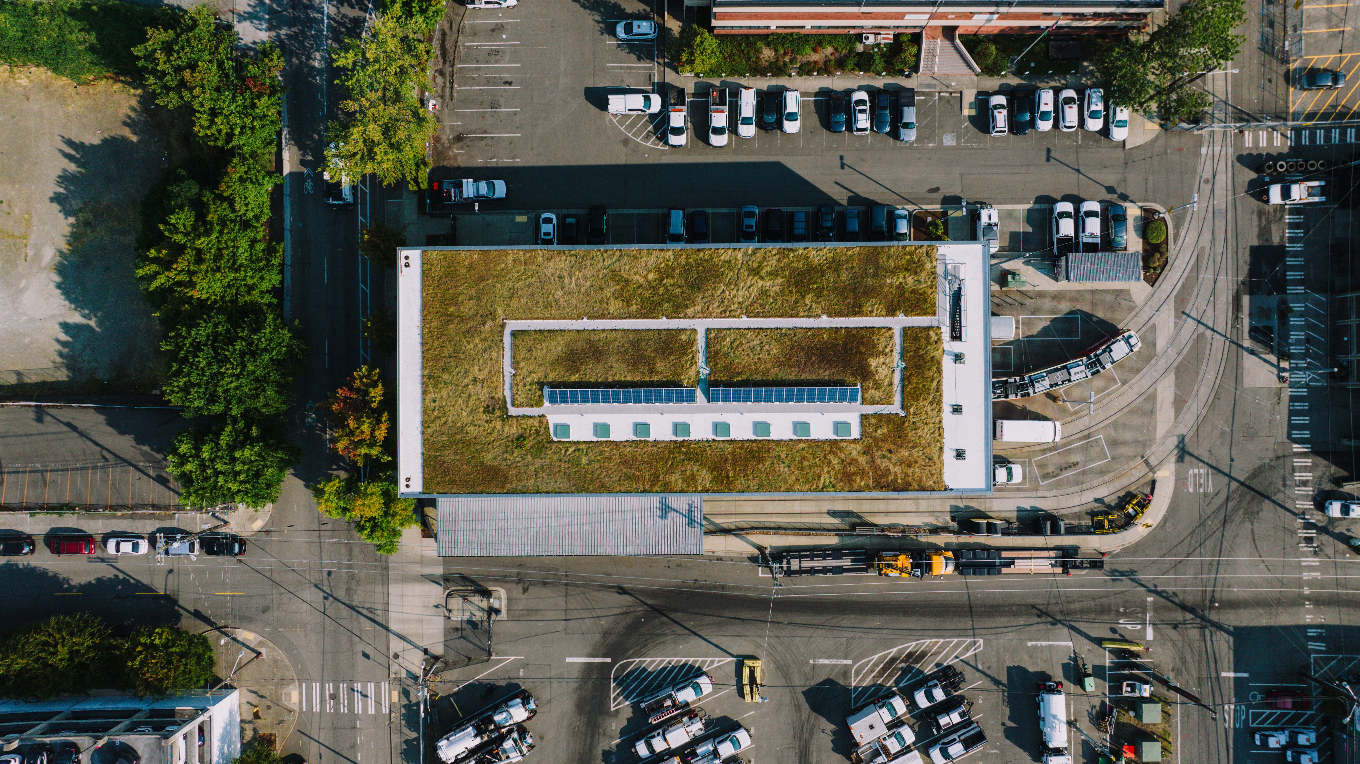 Portland ecoroof green roof system