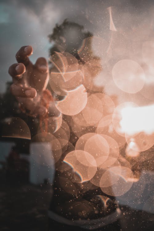 Foto d'estoc gratuïta de a l'aire lliure, bokeh, bonic capvespre