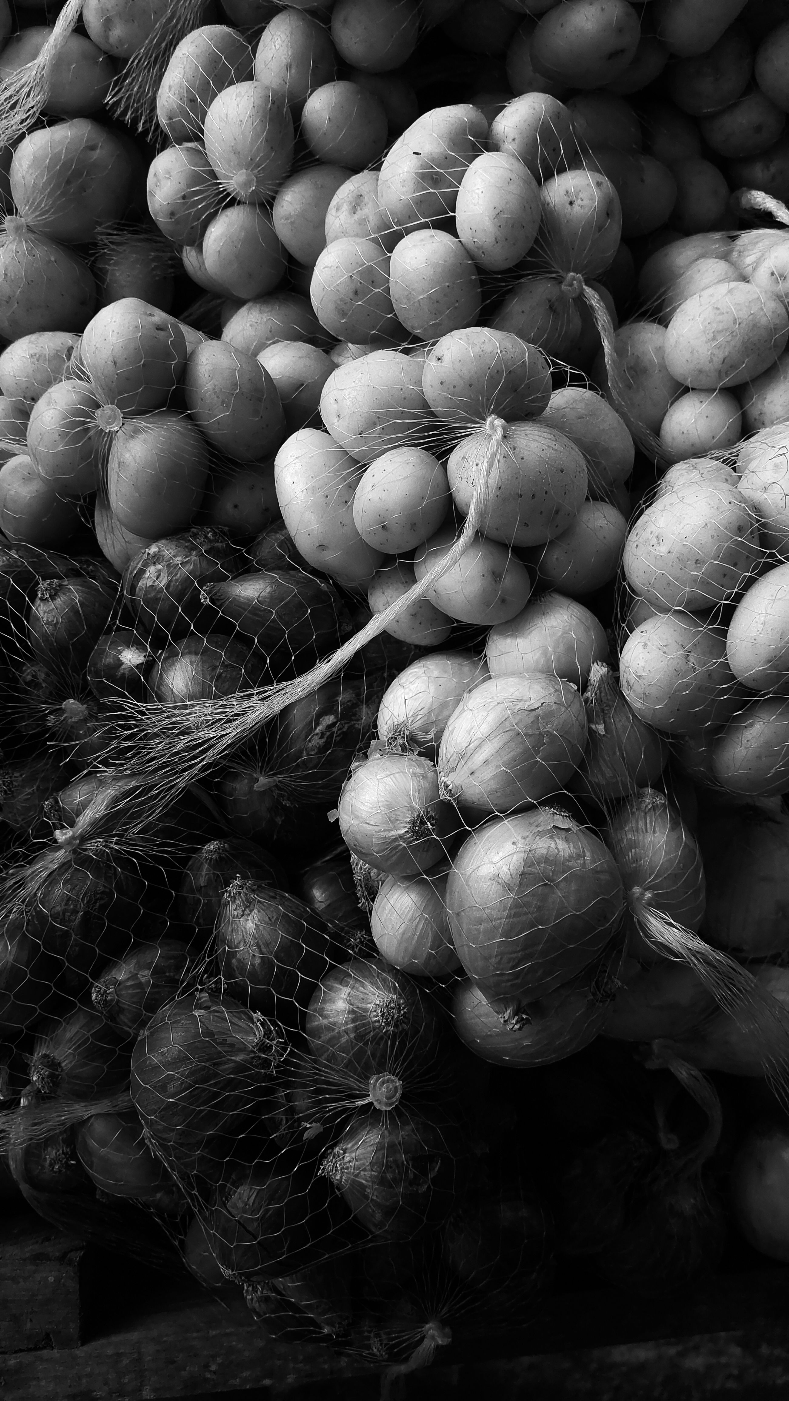 pexels-photo-28377573.jpeg