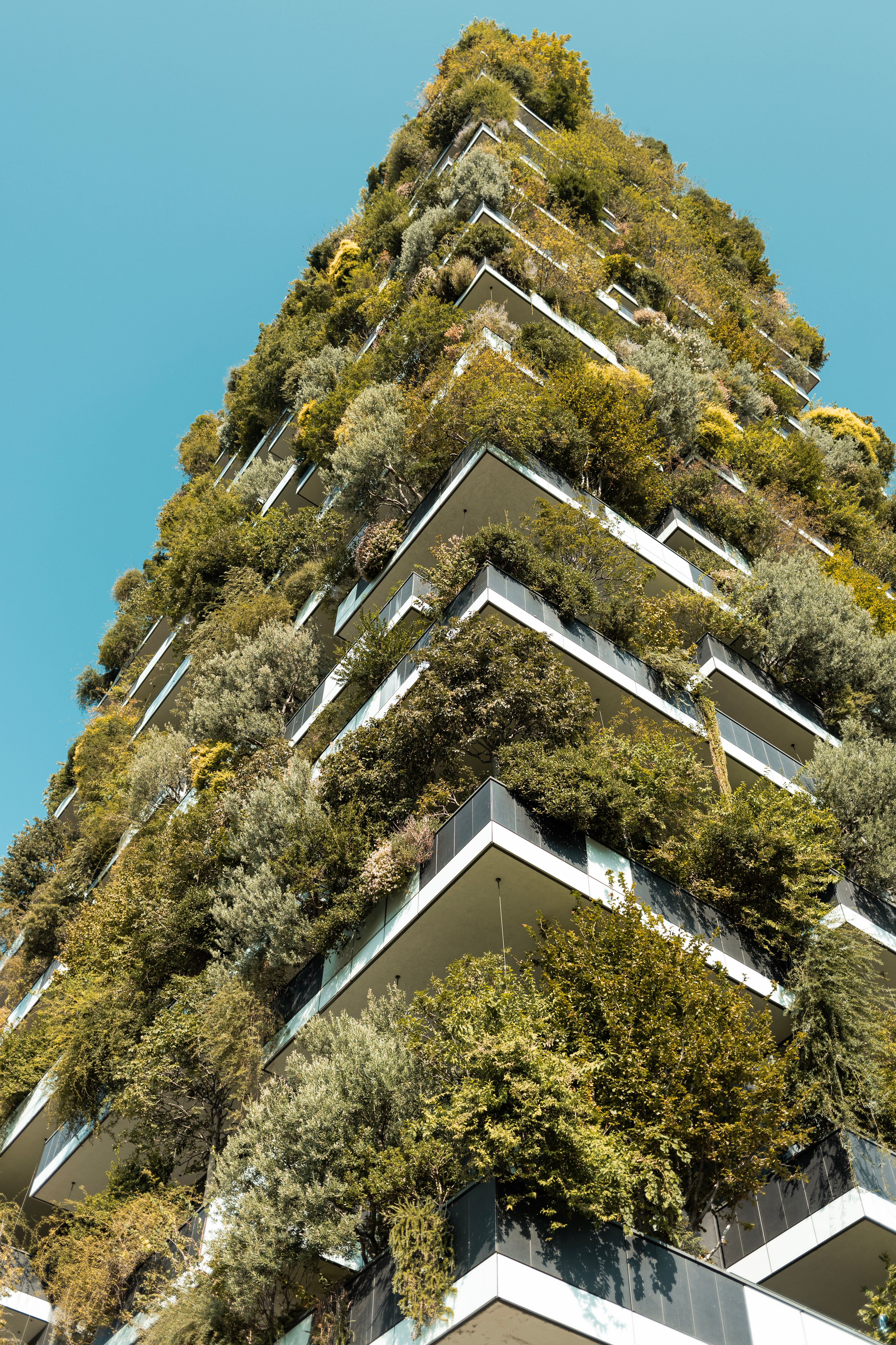 Planted terraces on a completed building