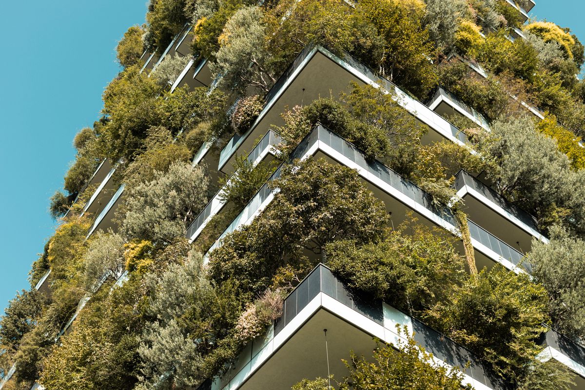 Planted terraces on a completed building