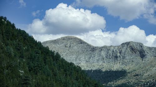 Free Stunning mountain landscape with lush pine forests and fluffy clouds under a blue sky. Stock Photo