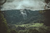 薄雾笼罩的宁静森林，在多云天空下，展现着郁郁葱葱的绿意与连绵起伏的山丘