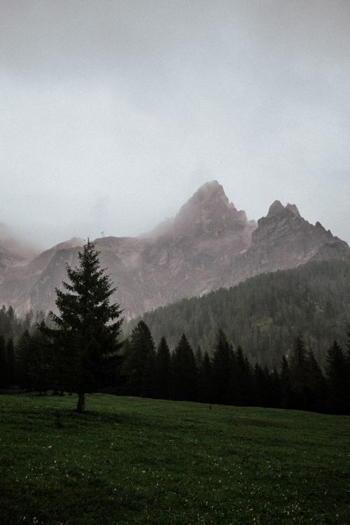 Free Serene misty landscape of the Dolomites in Trentino, Italy with lush greenery. Stock Photo