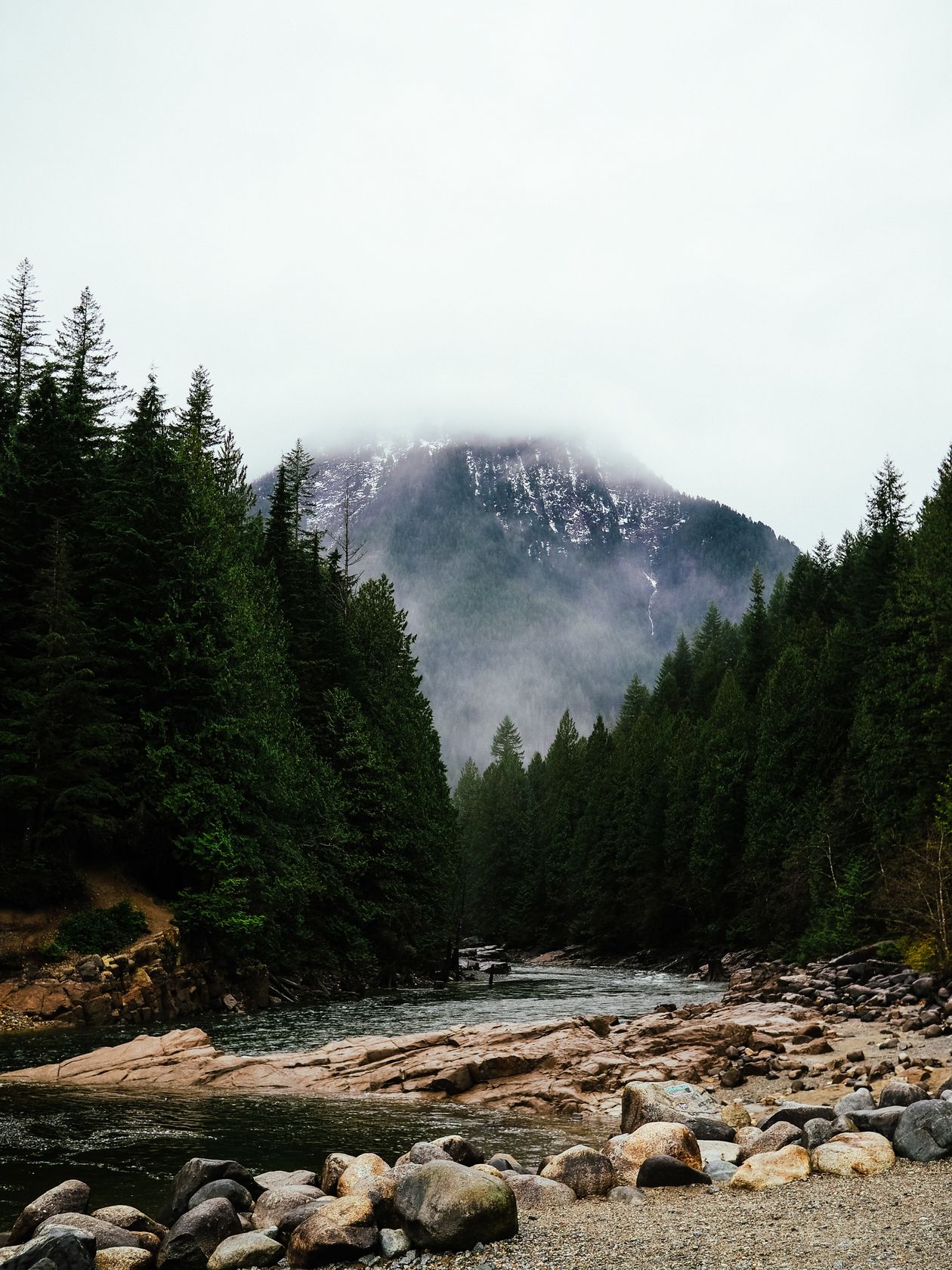 Mountain river running through dense forest