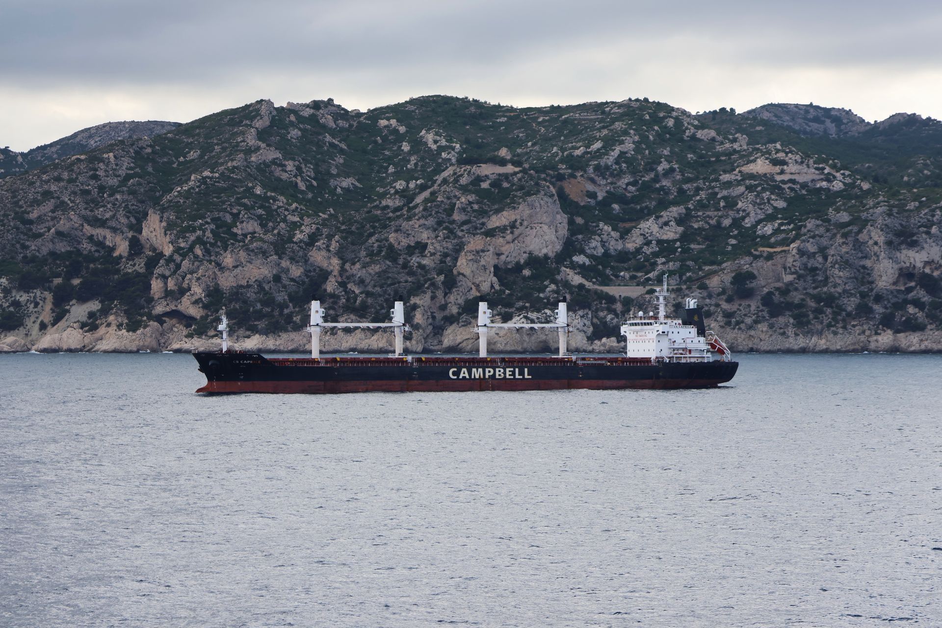 Cargo ship sailing in open water