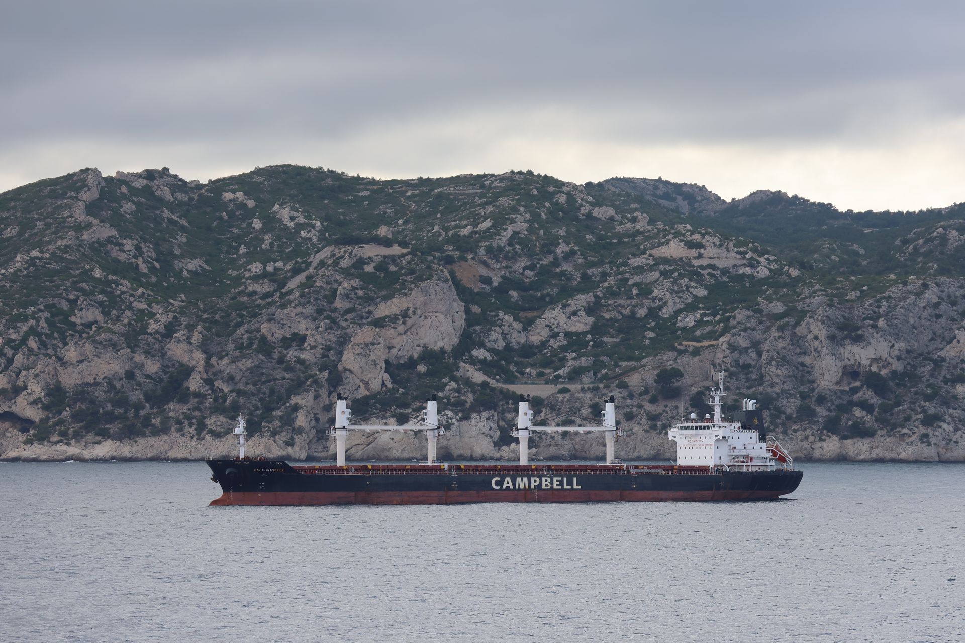 Cargo ship sailing near coastline