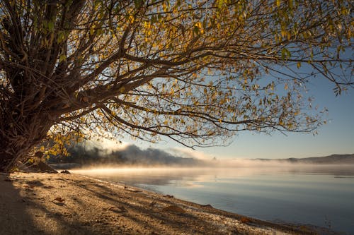 Why Some Lakes Steam in Fall Mornings