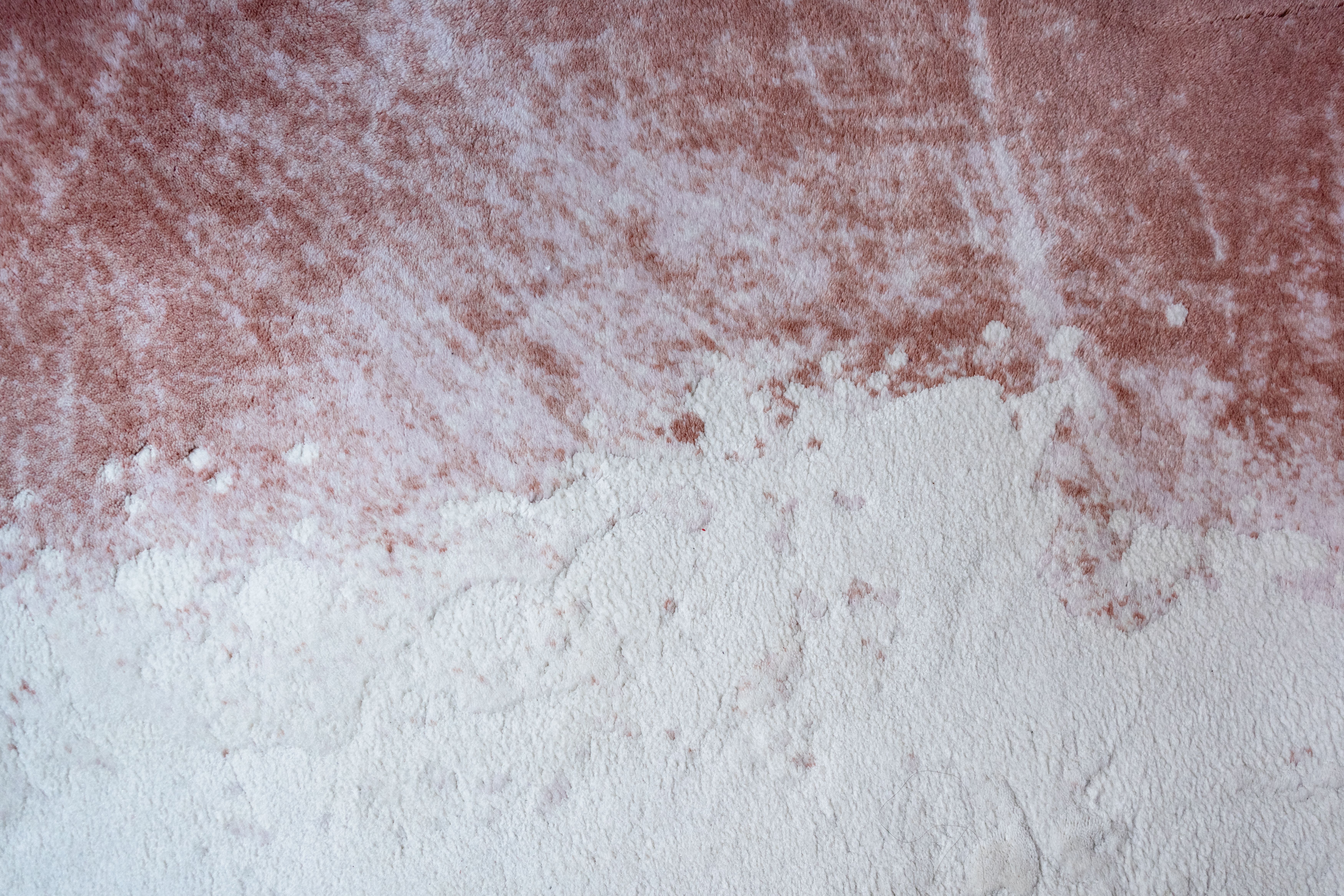 Rosaces — Plâtrier en France