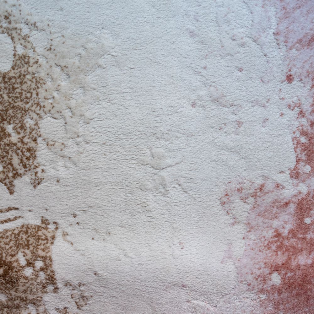 Painters and Decorators in Croydon — the finished result after a professional repaint