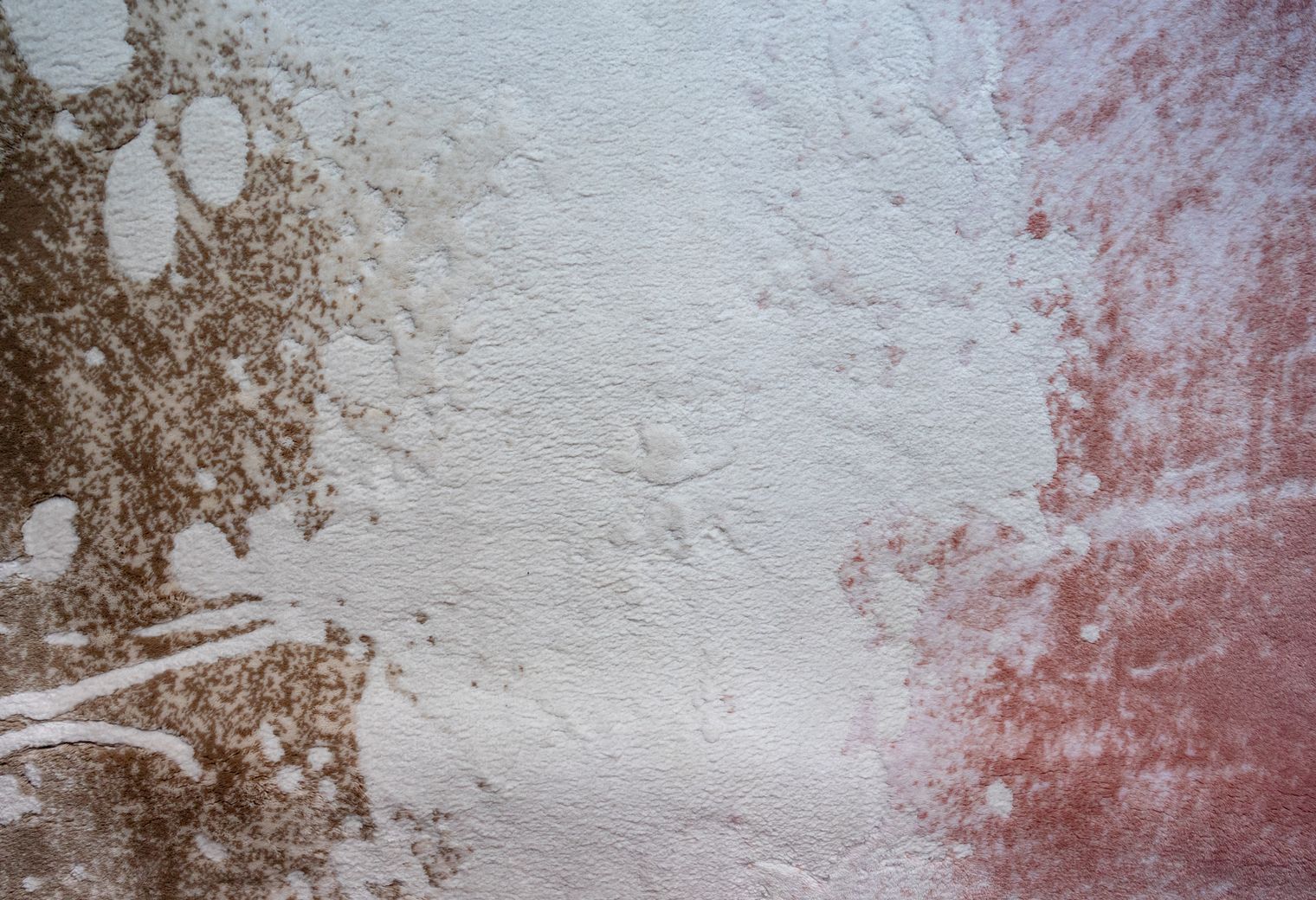 House Painting in Sands End — walls rolled to an even, flat finish