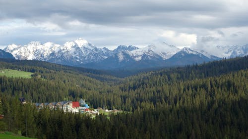 Free Wide Angle Photography of Buildings Surrounded by Pine Trees Stock Photo