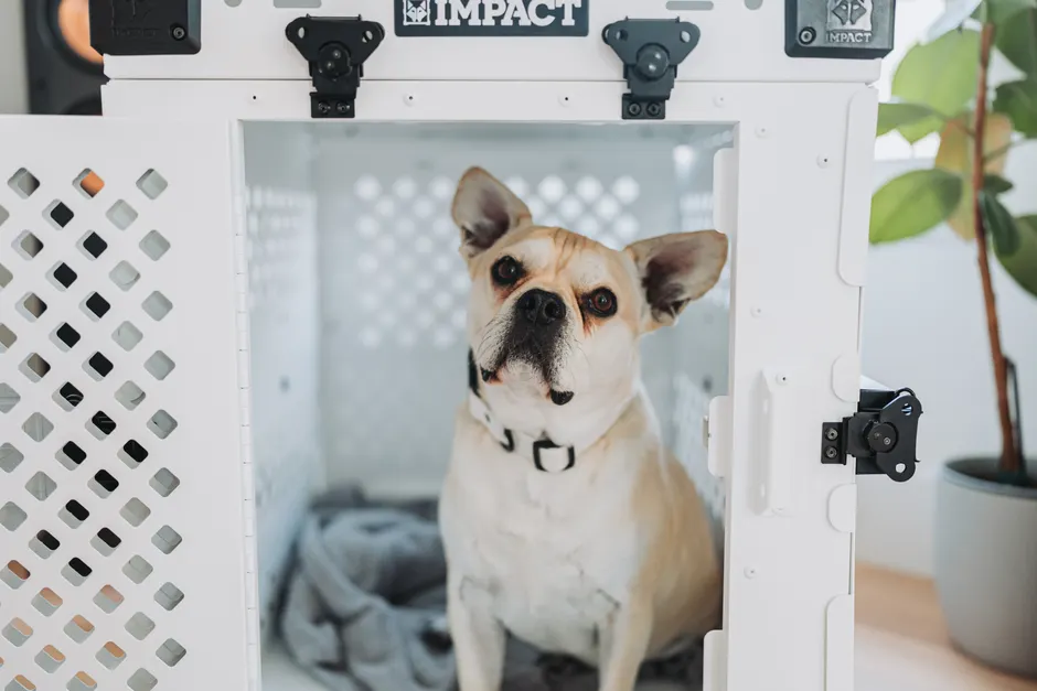 calming crate covers